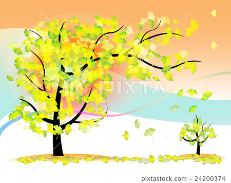 Parent and child of ginkgo biloba 24200374