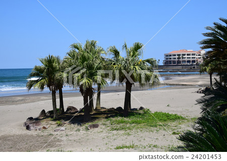 白濱海灘(宮崎縣宮崎市) 白濱海灘(宮崎縣宮崎市) 24201453