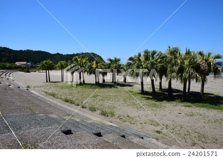 Shirahama Beach (Miyazaki City, Miyazaki Prefecture) 24201571