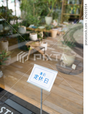 Store image shooting cooperation: TENOHA DAIKANYAMA 24201954