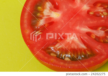 Tomato of open field also 24202275