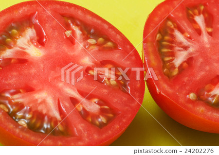 Tomato of open field also Tomato of open field also 24202276