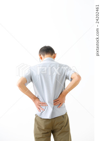 男子腰痛 24202461