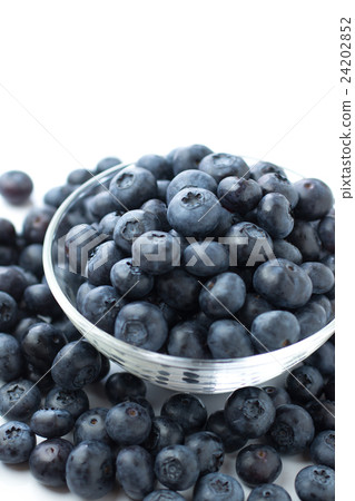 藍莓 藍莓 24202852