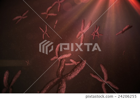 View of chromosome 24206255