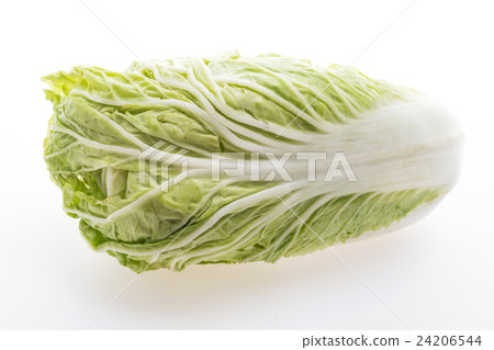 White lettuce or White cabbage White lettuce or White cabbage 24206544