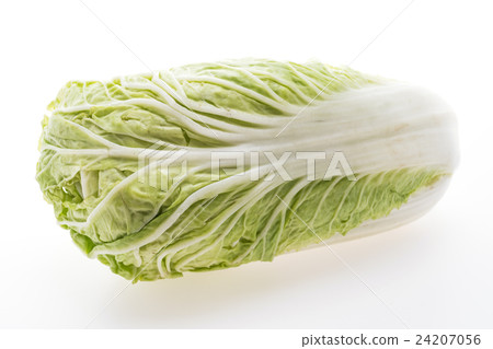 White lettuce or White cabbage White lettuce or White cabbage 24207056