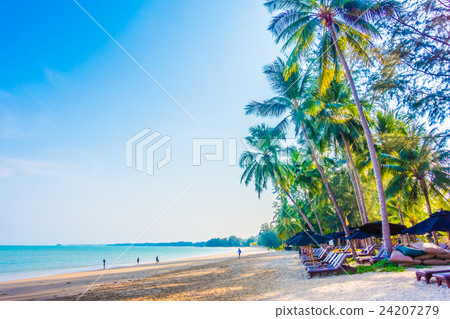 Sea and beach 24207279