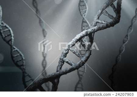 View of dna 24207903