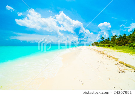 Maldives island Maldives island 24207991