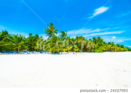 Maldives island 24207993