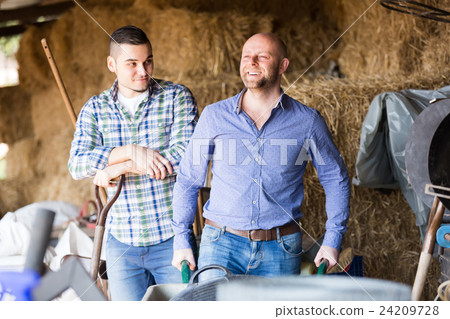 Two farmers working in barn Two farmers working in barn 24209728