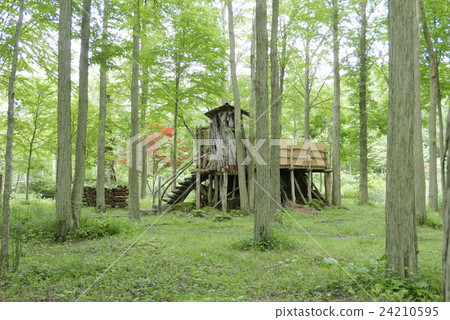 Hokkaido Ginza Hokkaido Ginza 24210595