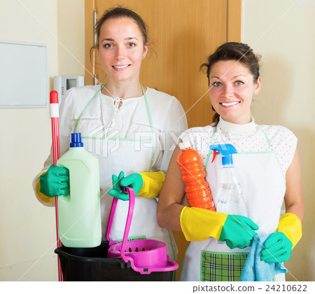 Women with cleaners doing housework 24210622