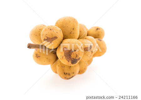 Longkong fruit Longkong fruit 24211166