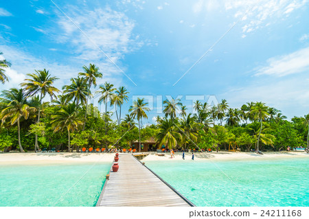 Maldives island Maldives island 24211168