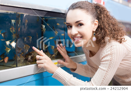 Female customer watching fish in aquarium tank Female customer watching fish in aquarium tank 24212904