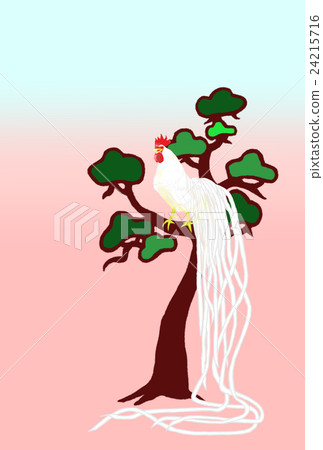 白杉樹背景為新年的天 24215716