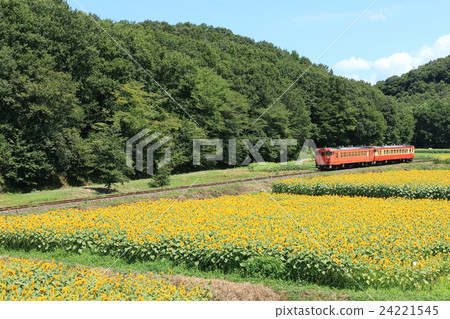 Karasui line "Sunflower field" overlooking landscape 24221545