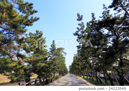  Soka Matsubara boardwalk 24222049