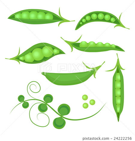Set of fresh green peas pods isolated on white. Set of fresh green peas pods isolated on white. 24222256