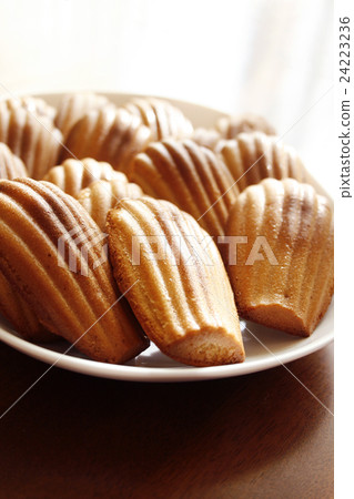 madeleines on a plate 24223236