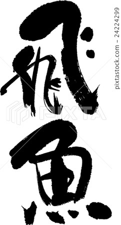 flying fish 24224299