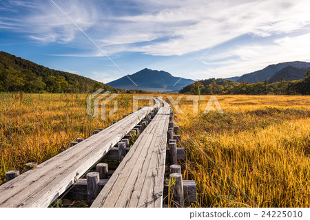 Ozegahara和Mt.的秋葉。 24225010