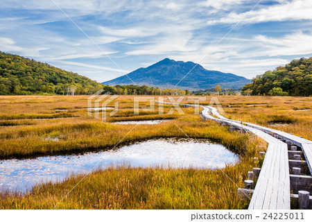 Ozegahama Ike Tang和Mt.秋葉 24225011