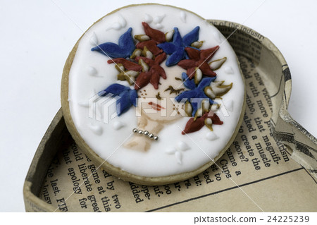 Icing Icing 24225239