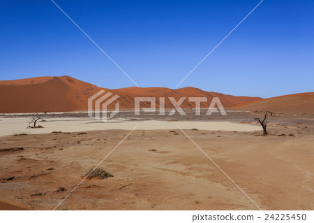 Hidden Vlei 24225450