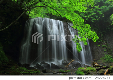 Summer Tatsuzawa immobile waterfall 24228744