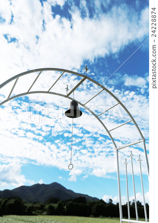 貝爾向天空 24228874