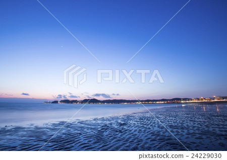 Timber Coast 24229030