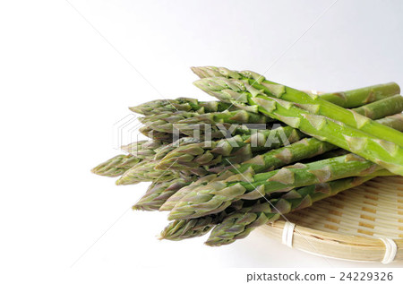綠蘆筍 綠蘆筍 24229326