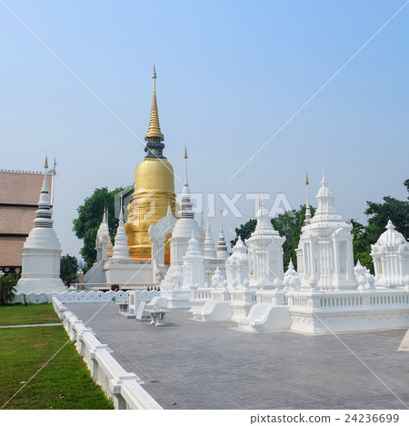 golden pagoda in wat suan dok temple, chiang mai 24236699