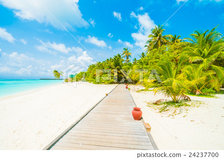 Maldives island 24237700