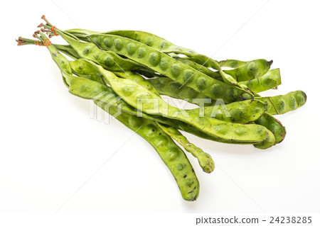 Green Parkia 24238285