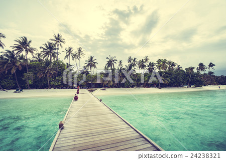 Maldives island 24238321