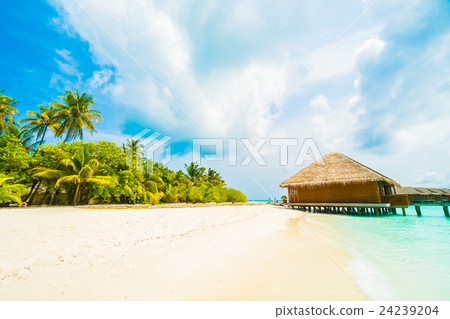 Maldives island Maldives island 24239204