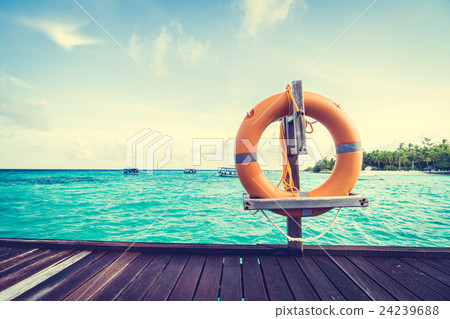 lifebouy lifebouy 24239688