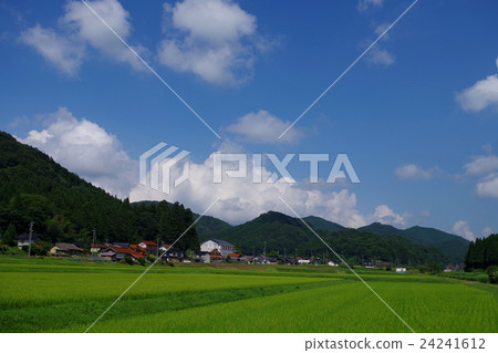 Country landscape Summer blue sky rice field Tamagotchi Country landscape Summer blue sky rice field Tamagotchi 24241612