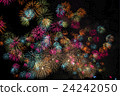 Chitose Chrysanthemum chrysanthemum 24242050