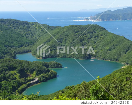 Heart cove Heart cove 24242338