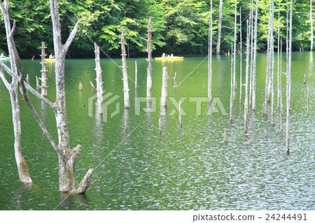 天然湖泊 24244491