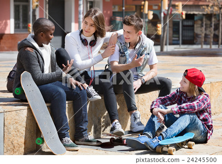 Group of teenage friends relaxing and chatting 24245500