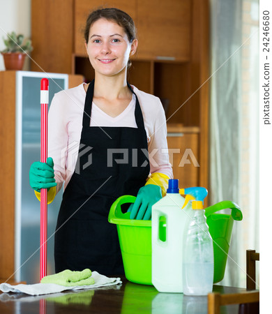 maid in apron dusting and wiping 24246680