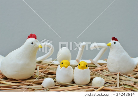 Chickens and chicks with eggs 24248614