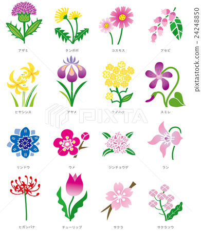 Flower 01 24248850