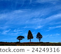 Biei Hokkaido blue sky white cloud hill 24249316